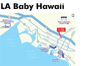 LA Baby Hawaii
